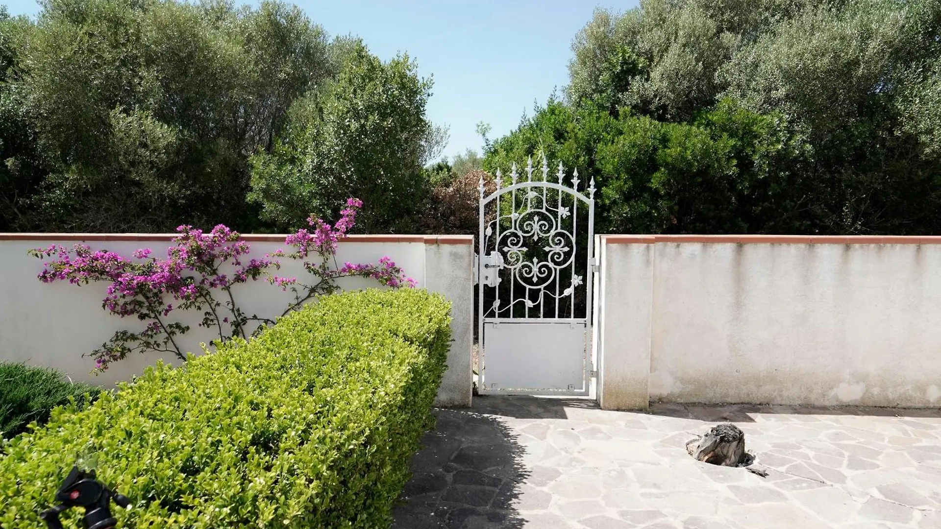 Sardegna - Villa Mirto & Flowers Olbia